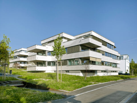 Steinbuechelstrasse