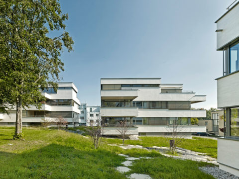 Steinbuechelstrasse